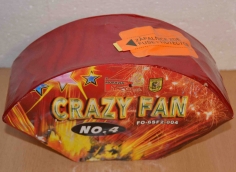 598-crazy-fan.jpg